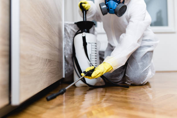 Best Pest Prevention Services  in Hollymead, VA