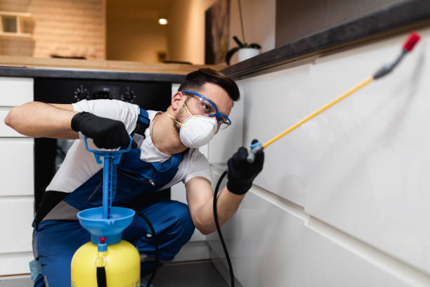 Flea Control Services in Hollymead, VA