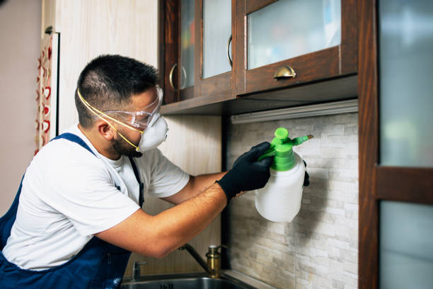 Trusted Hollymead, VA Pest Control Experts