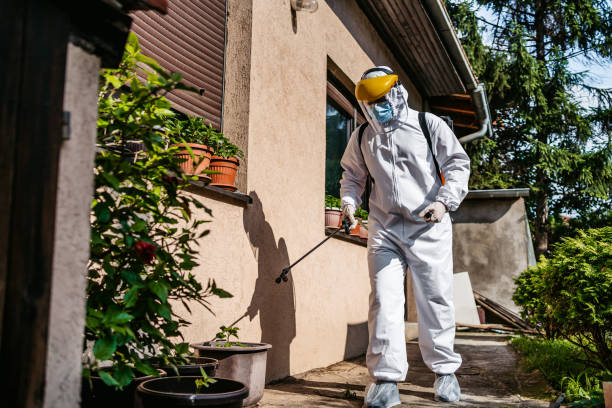 Best Termite Control Services  in Hollymead, VA