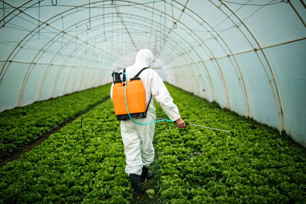 Best Affordable Pest Control Services  in Hollymead, VA