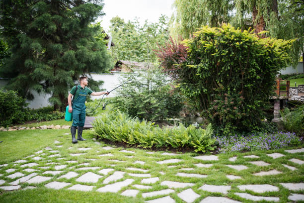 Best Pest Control Cost  in Hollymead, VA