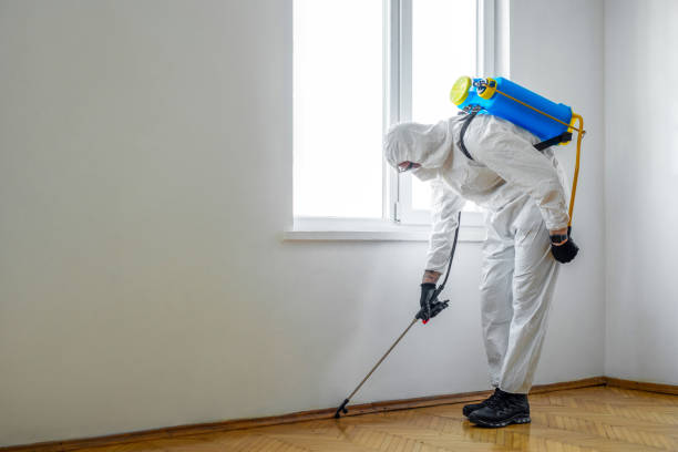 Best Commercial Pest Control Services  in Hollymead, VA