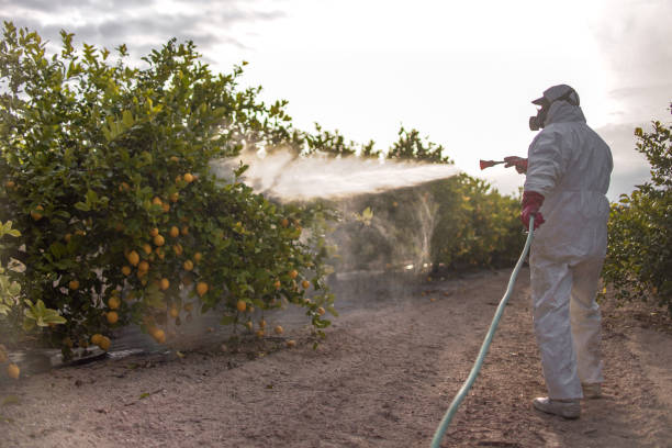 Pest Control for Restaurants in Hollymead, VA