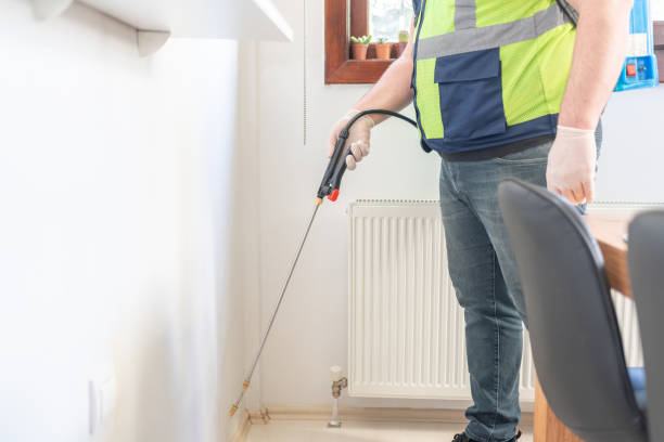 Best Mosquito Control Services  in Hollymead, VA