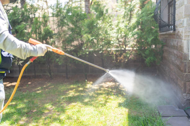 Best Rat Extermination Near Me  in Hollymead, VA