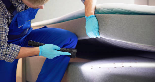 Best Pest Removal Services  in Hollymead, VA