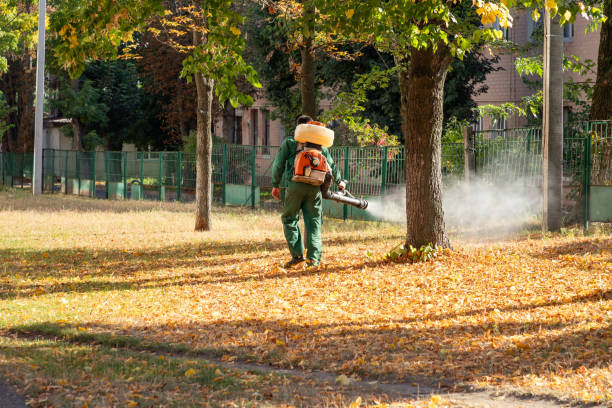 Pest Control Cost in Hollymead, VA