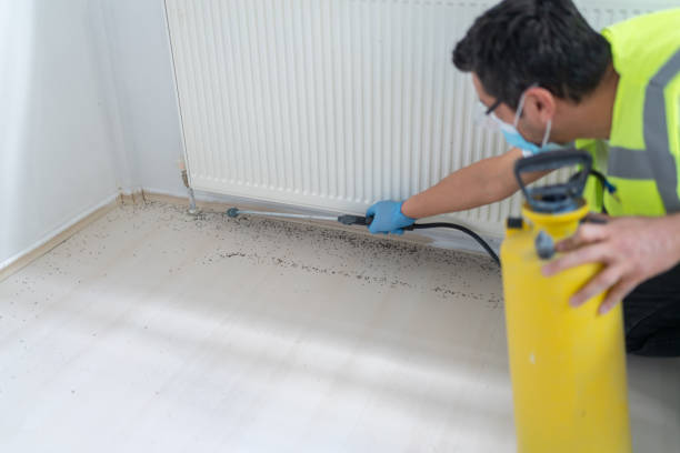 Best Bed Bug Extermination  in Hollymead, VA